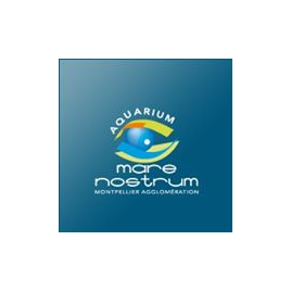 Aquarium Mare Nostrum