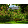 Claude Monet  : la Maison et les Jardins, Giverny 
