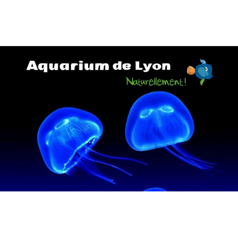 Aquarium de Lyon, La Mulatiere 