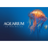 Aquarium de la Rochelle, le 13/11/2020