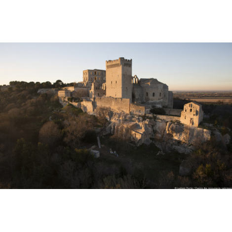 Abbaye de Montmajour, Arles 
