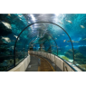 Aquarium de la Rochelle, le 13/11/2020